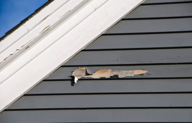 Best Shed Removal  in Royal Kunia, HI